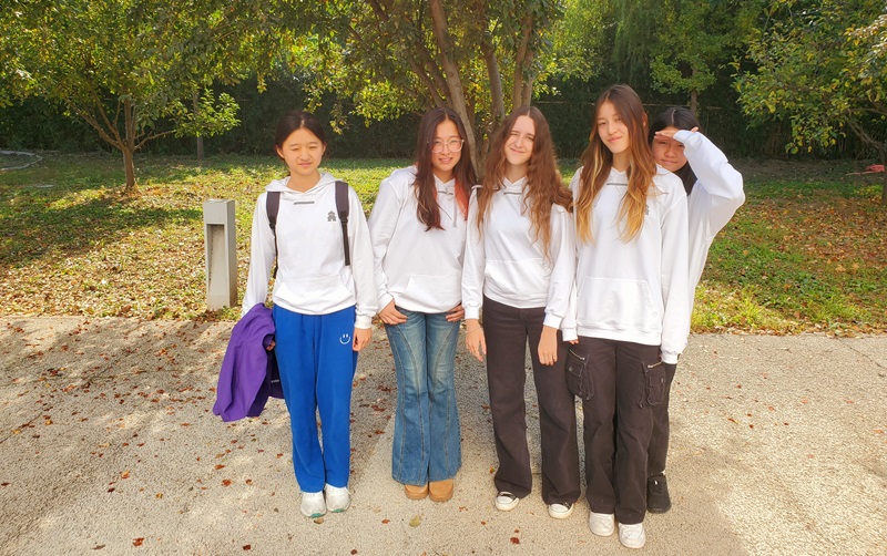 Battle of the Books: Es geht wieder los