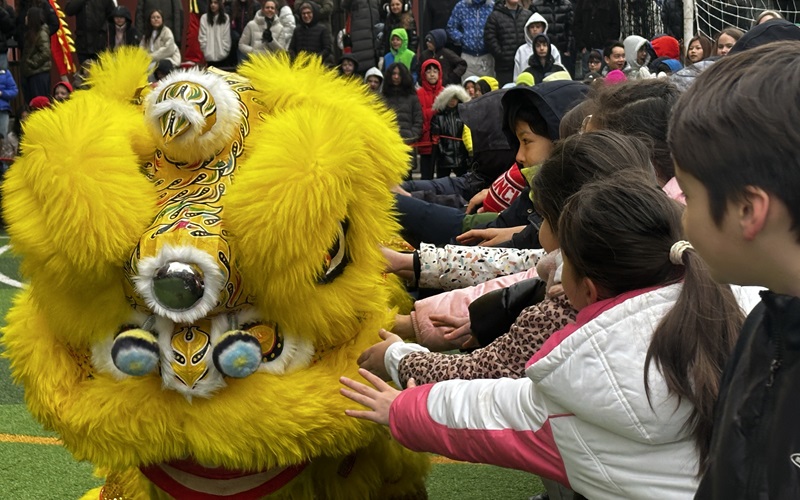 Drachen, L�wen, Akrobatik - Tempelfest an der DSP